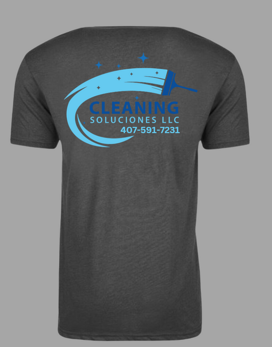 Cleaning Soluciones