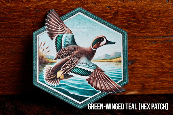 Green Winged Teal Hex