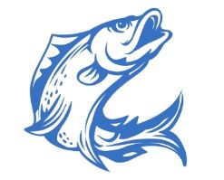 Fisherman's Catch