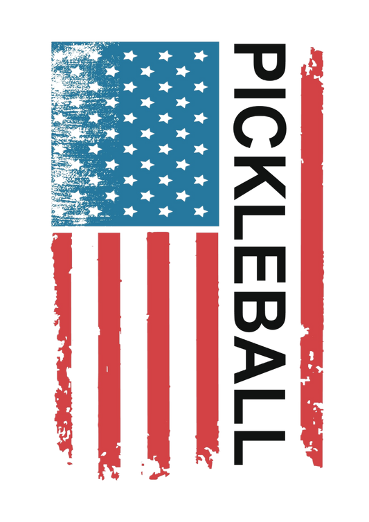 Pickleball American Flag