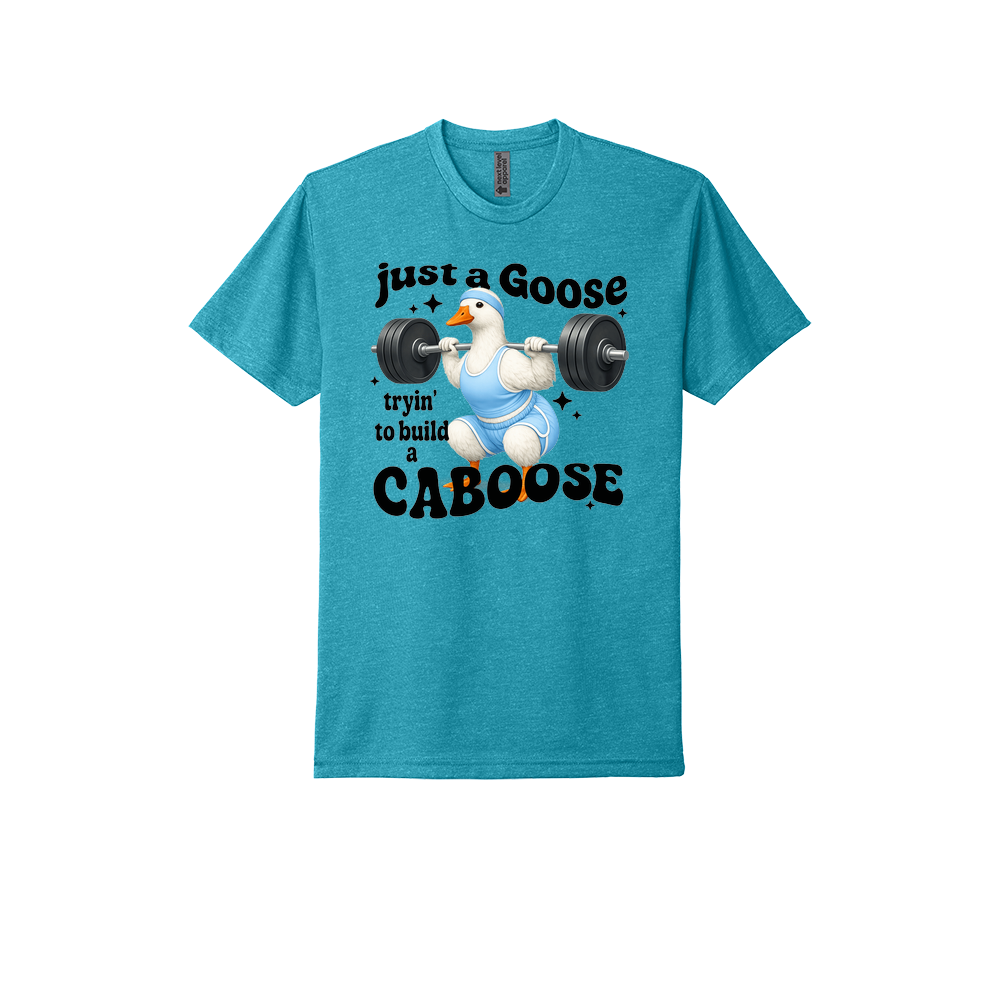 Just A Goose Building My Caboose