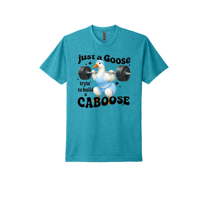 Just A Goose Building My Caboose