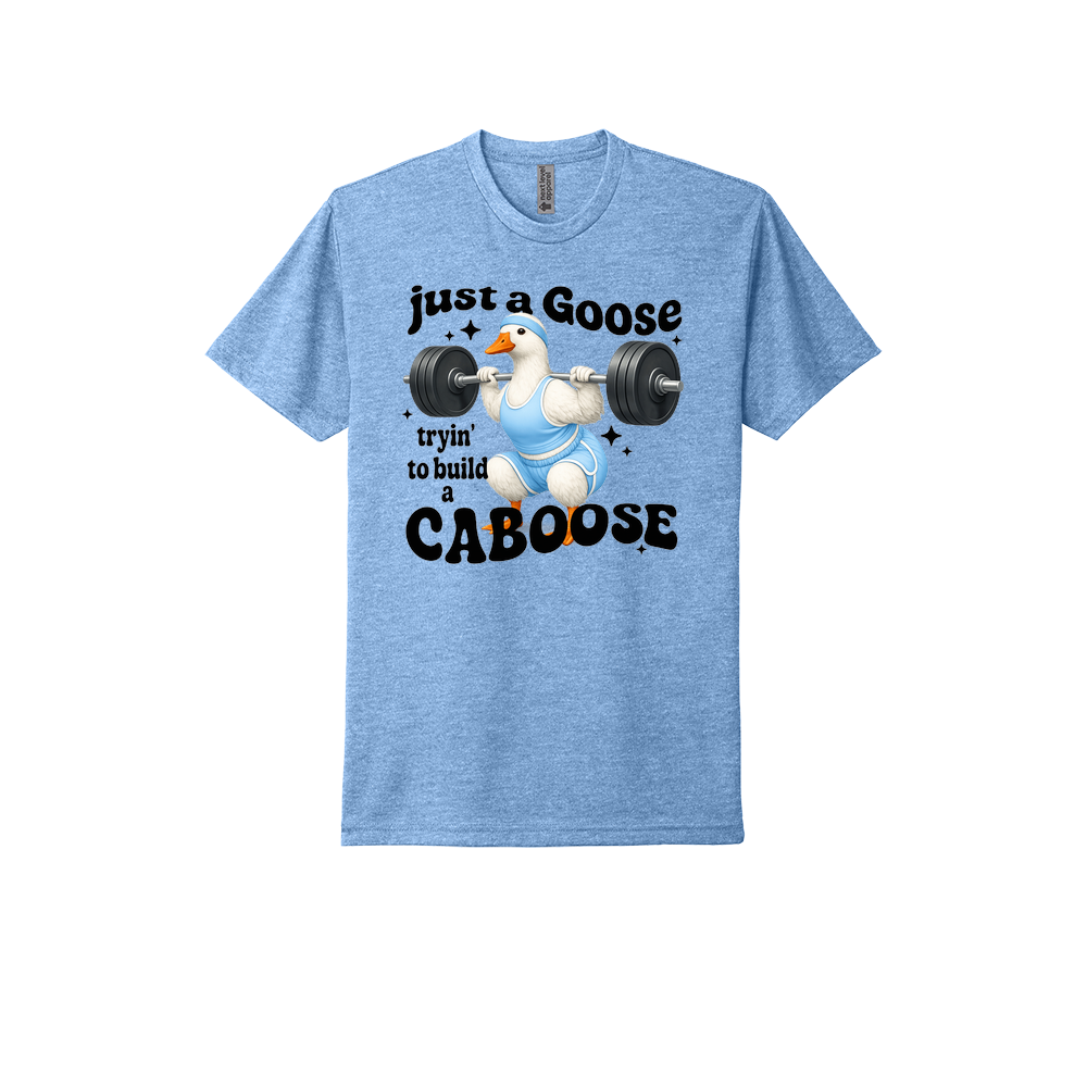 Just A Goose Building My Caboose