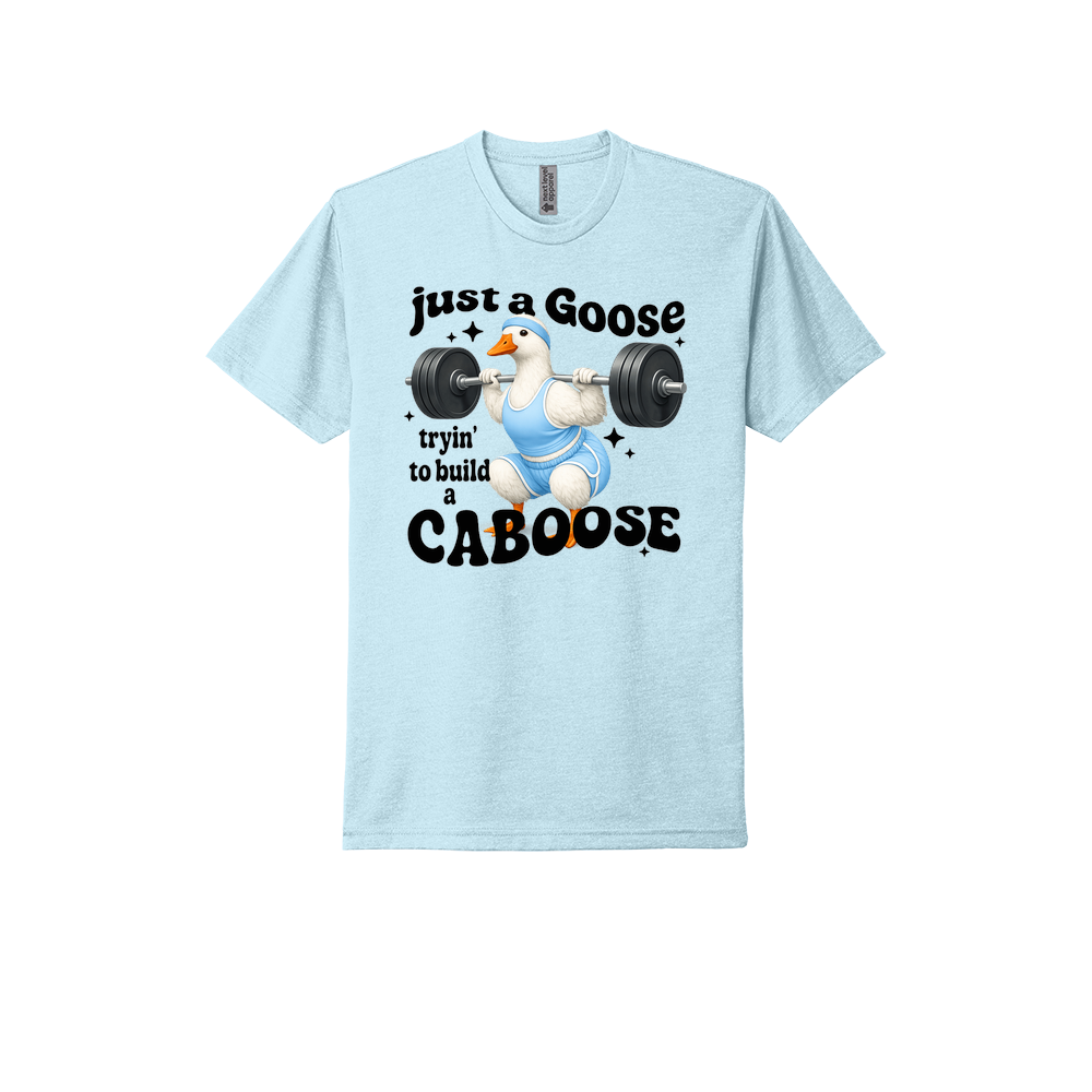 Just A Goose Building My Caboose