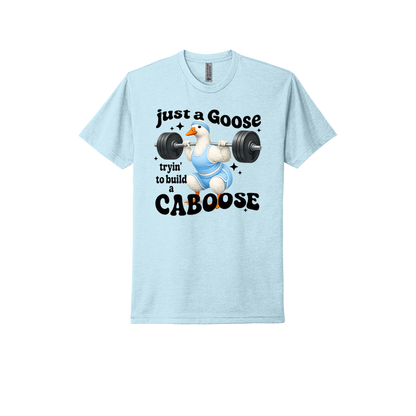 Just A Goose Building My Caboose