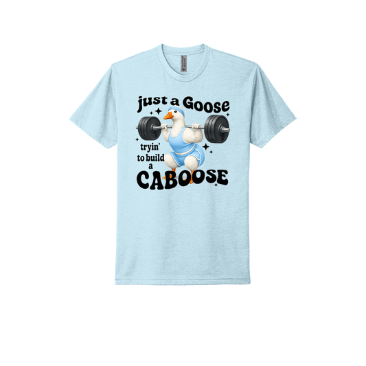 Just A Goose Building My Caboose